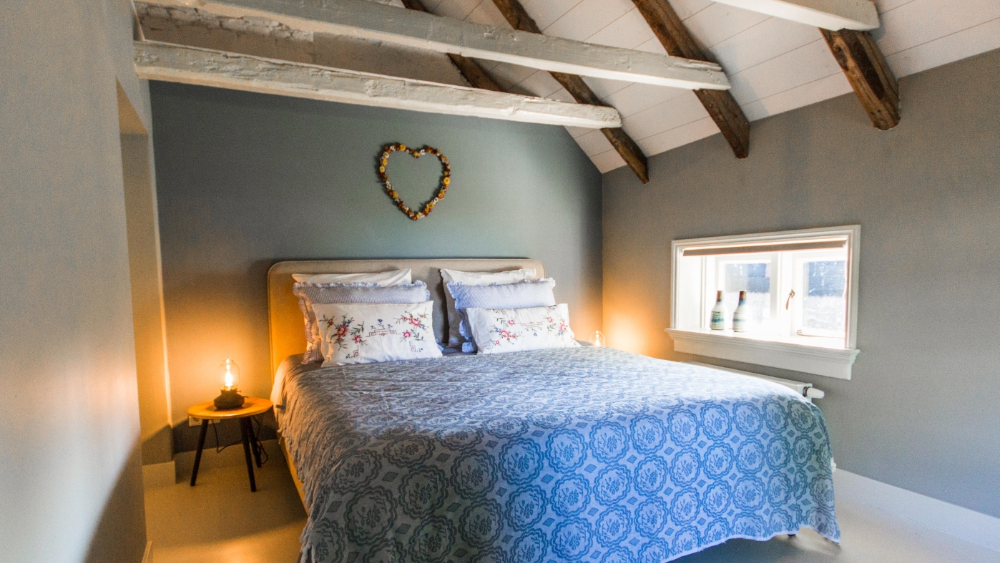 Bed & Breakfast Zwolle / Kamers / Appartement Begane Grond